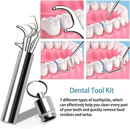 🔥Stainless Steel Toothpick Set 7pcs